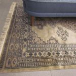 691 4432 CARPET